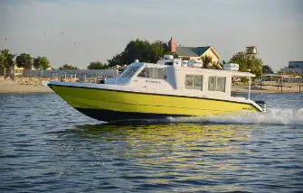 Cruise ship for sale