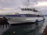 Cruise ship for sale