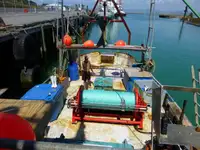 Trawler for sale