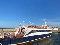 Cruise ship for sale