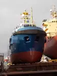 Reefer ship for sale
