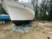 Trawler for sale