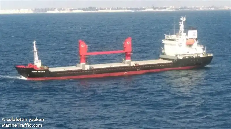 Bulk carrier for sale