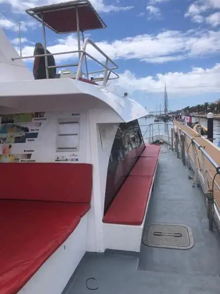 Catamaran for sale