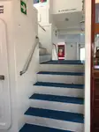 Catamaran for sale