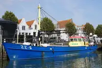 Trawler for sale