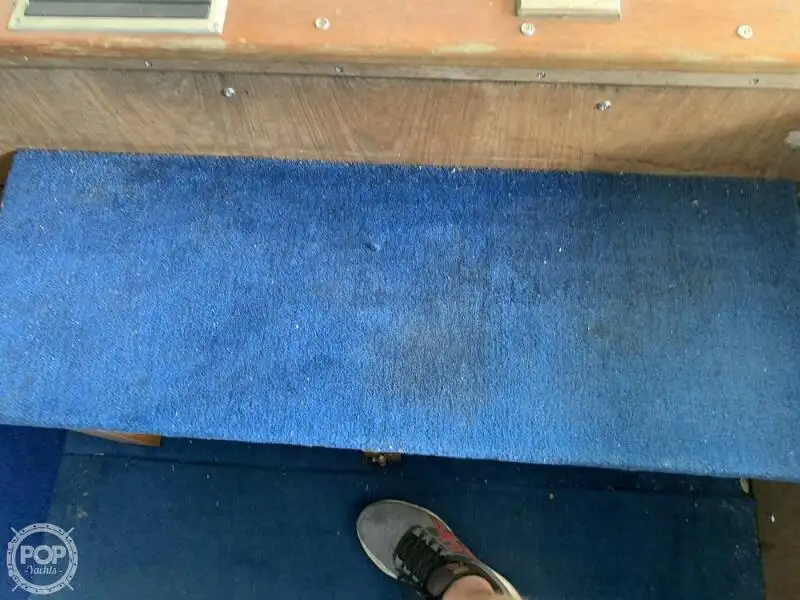 Cruise ship for sale