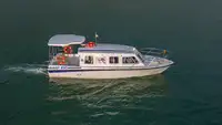 Cruise ship for sale