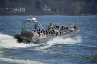 Rigid inflatable boat for sale
