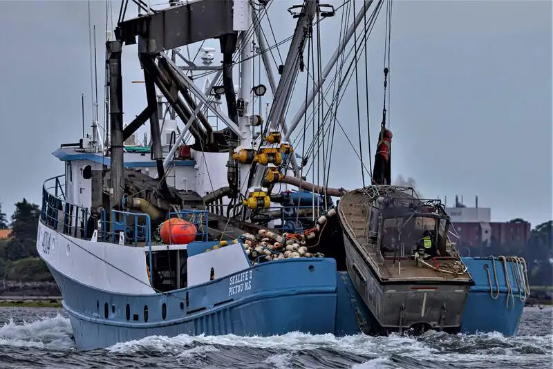 Purse seiner for sale