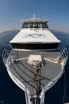 Ferry vessel for sale