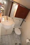Cruise ship for sale