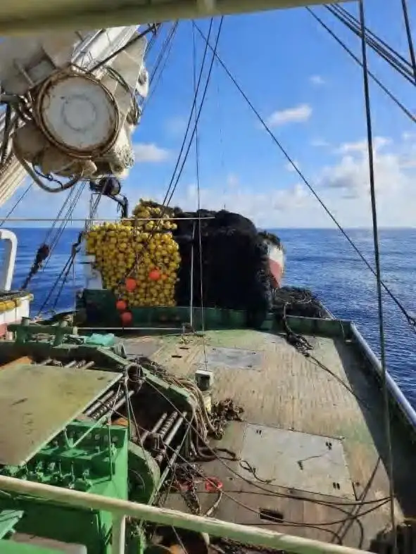 Purse seiner for sale