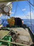 Purse seiner for sale
