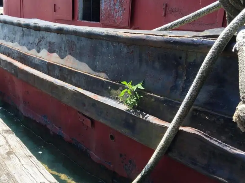 Towboat for sale