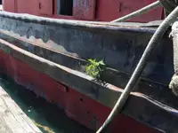 Towboat for sale