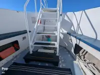 Cruiseferry for sale