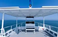 Catamaran for sale