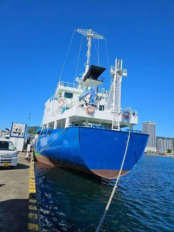 Bulk carrier for sale