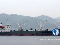 Reefer ship for sale