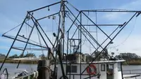 Trawler for sale