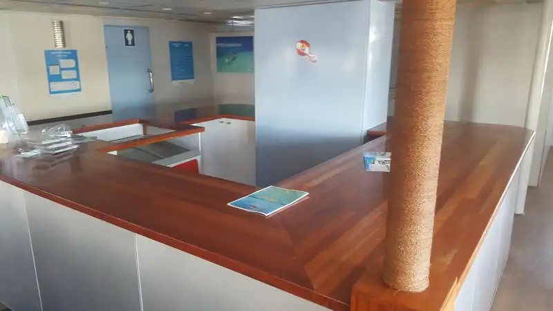 Catamaran for sale