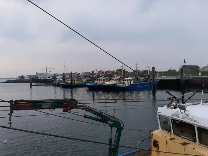 Trawler for sale