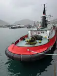 Towboat for sale