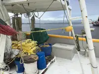 Trawler for sale