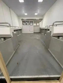 Catamaran for sale