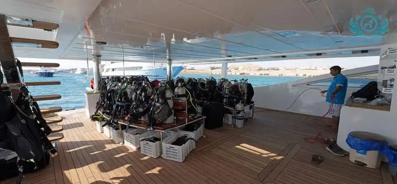 Cruise ship for sale