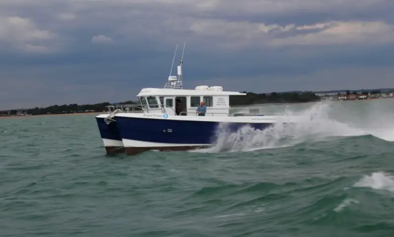 Catamaran for sale