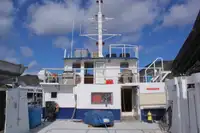 Catamaran for sale