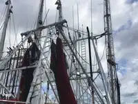 Trawler for sale