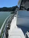 Catamaran for sale