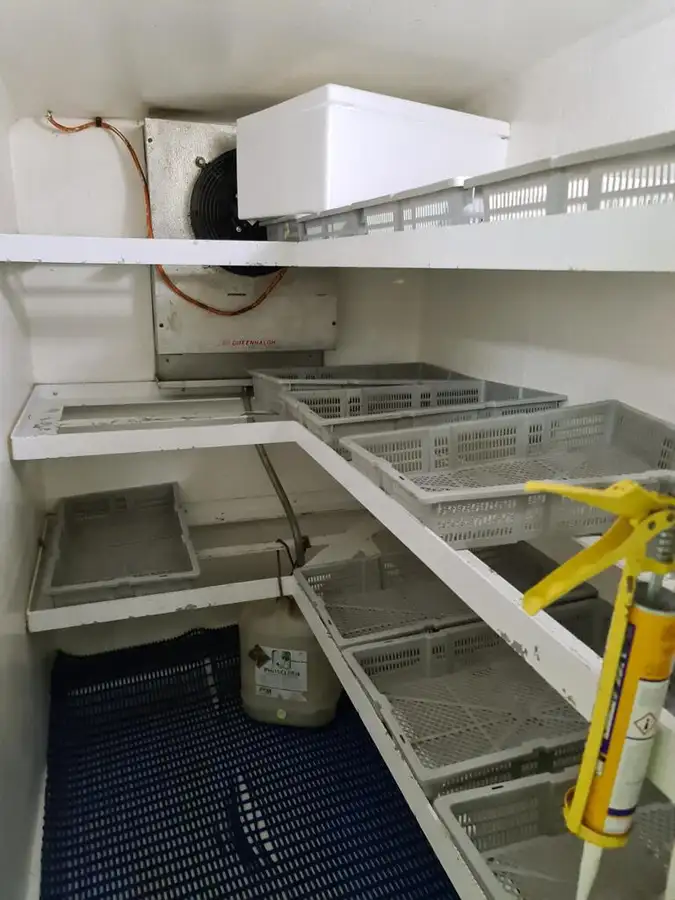 Longliner for sale
