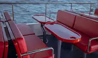 Cruise ship for sale