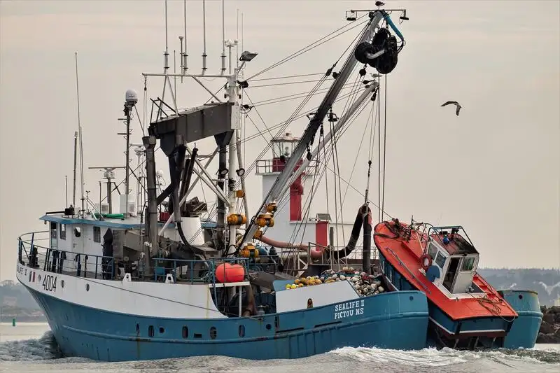 Purse seiner for sale