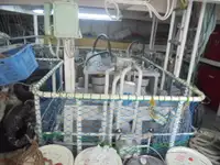 Patrol boat for sale