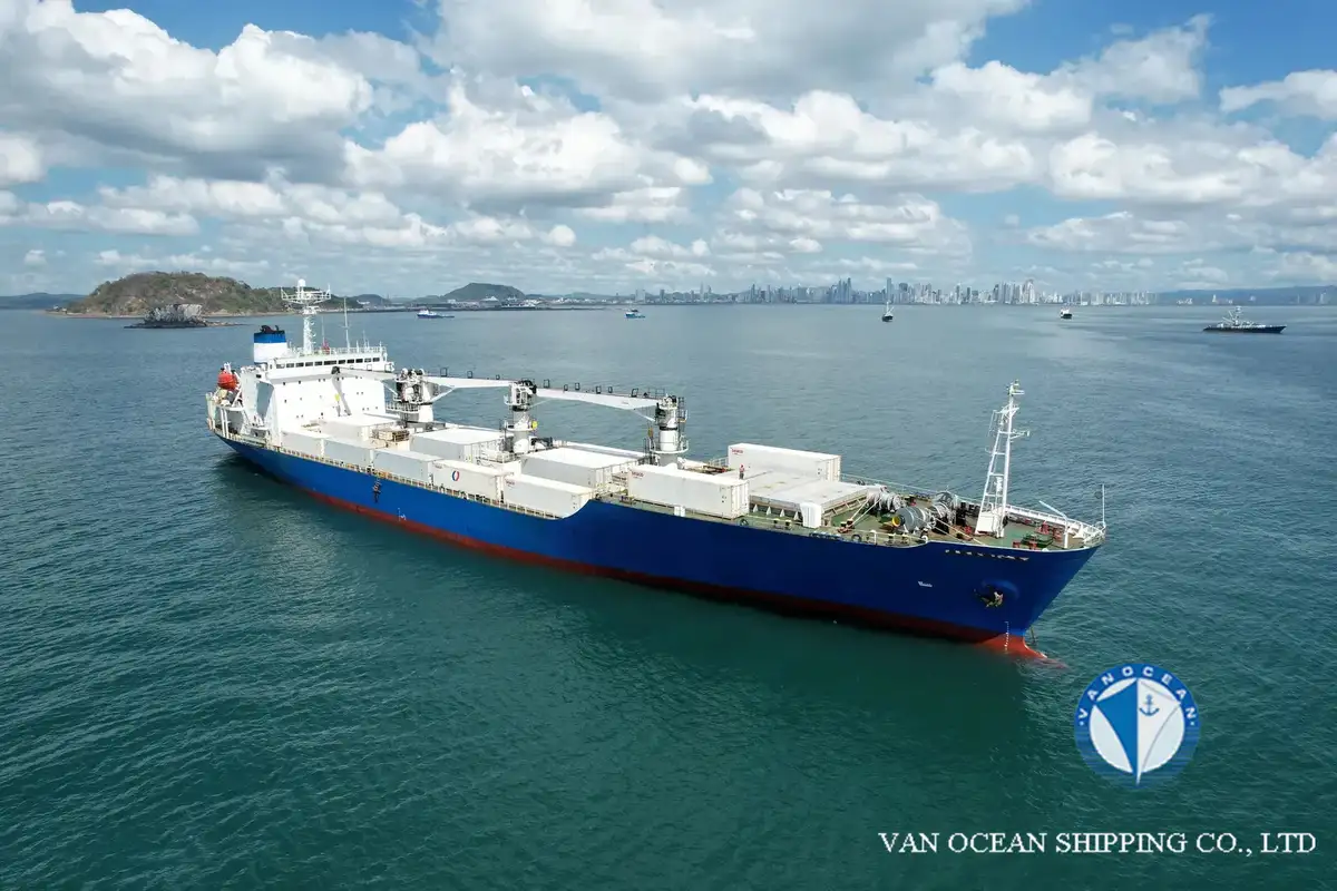 Reefer ship for sale