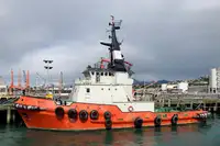 Towboat for sale