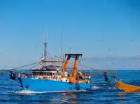 Trawler for sale
