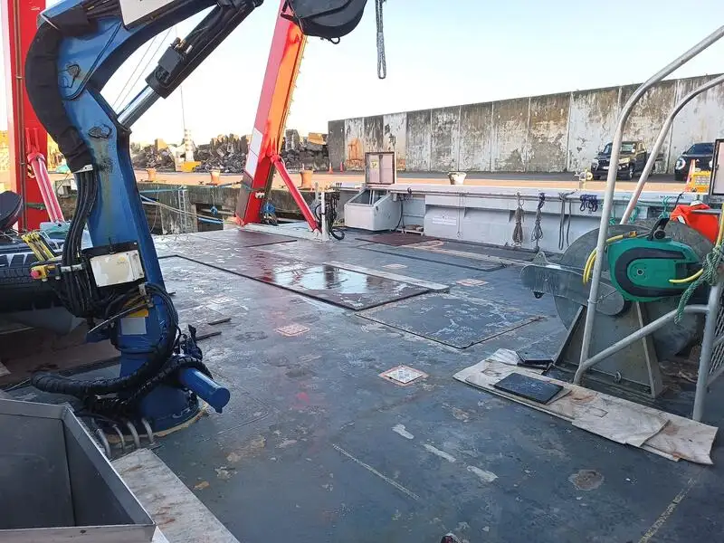 Catamaran for sale