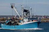 Purse seiner for sale