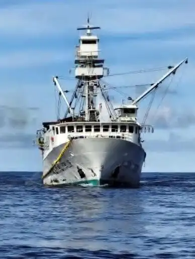 Purse seiner for sale
