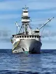 Purse seiner for sale