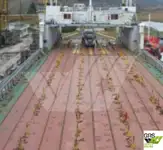 Ro-Ro ship for sale