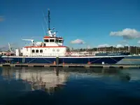 Catamaran for sale