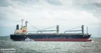 Bulk carrier for sale