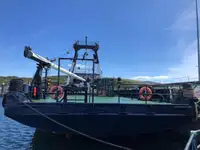 Reefer ship for sale